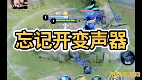 王者荣耀怎么开变声器 王者荣耀怎么开变声器