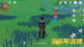原神秘宝迷踪多人挑战位置 &lt;h1&gt;原神秘宝迷踪多人挑战位置解析&lt;/h1&gt;