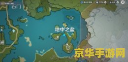 原神地中之盐的石珀在哪里 原神地中之盐的石珀位置探索