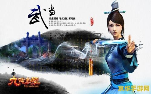 九阴真经无门派武学 九阴真经无门派武学深度解析
