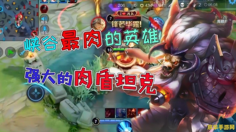 王者荣耀肉怎么打团 王者荣耀中肉盾英雄如何高效打团