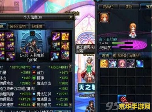 dnf宠物有什么用 DNF宠物有什么用