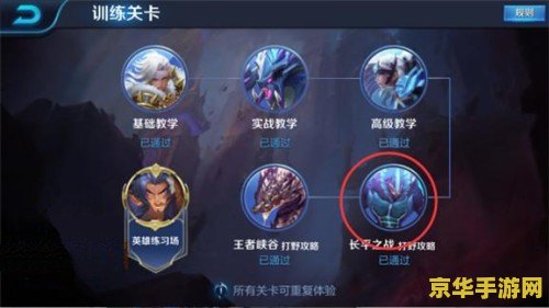 王者荣耀怎么打直播视频教学视频教学 王者荣耀直播视频教学指南