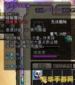 dnf熊猫宠物 DNF熊猫宠物深度解析