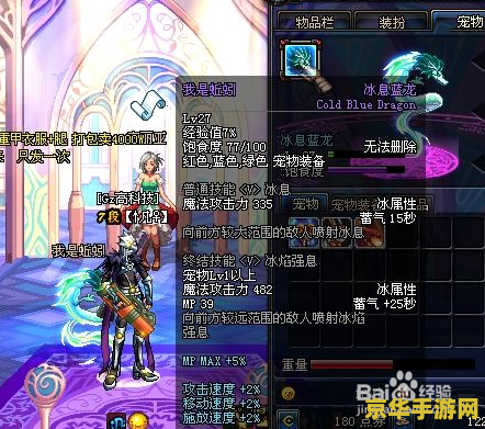 dnf宠物有什么用 DNF宠物有什么用