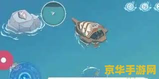 原神海螺在哪里买 原神海螺购买指南