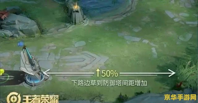 王者荣耀注意草丛怎么发 王者荣耀注意草丛怎么发