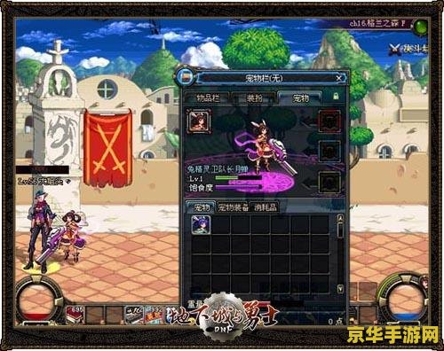 dnf2011年春节礼包 DNF2011年春节礼包详解