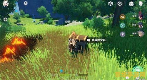原神萝卜怎么获取 原神萝卜获取攻略