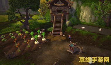 魔兽世界熊猫人声望 魔兽世界熊猫人声望攻略
