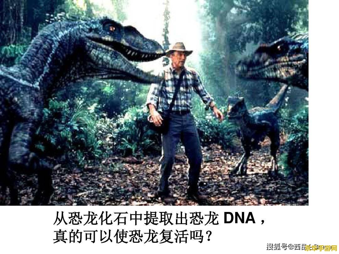 侏罗纪化石 克格莫 侏罗纪化石探险：克格莫的传奇之旅