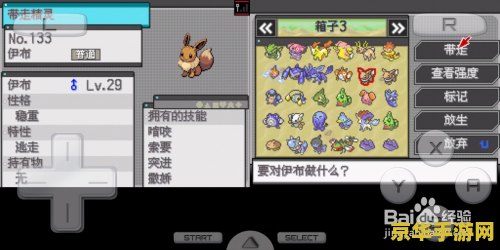 口袋妖怪黑白2伊布 口袋妖怪黑白2中的伊布全面解析