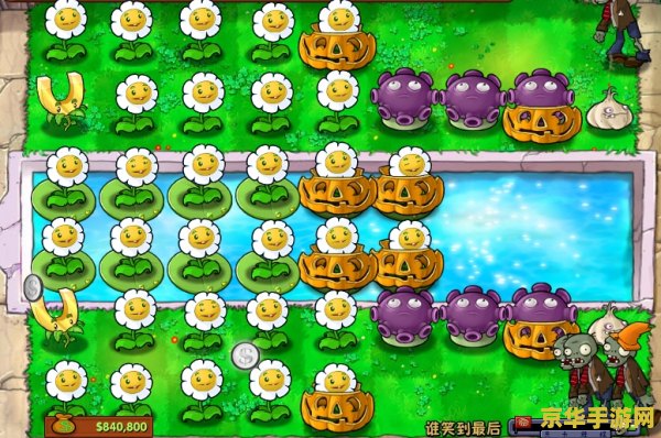 植物大战僵尸bt版 &lt;h3&gt;植物大战僵尸BT版深度解析&lt;/h3&gt;