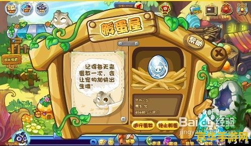 洛克王国阿布在哪 洛克王国阿布捕捉指南