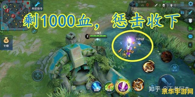 王者荣耀惩击怎么抢野 王者荣耀惩击抢野技巧解析