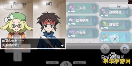 口袋妖怪黑白2伊布 口袋妖怪黑白2中的伊布全面解析