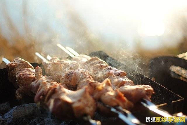 原神九条鸟蛋烧 原神中的美食探索：九条鸟蛋烧解析