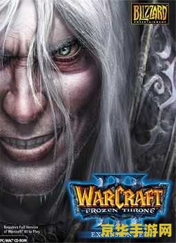 魔兽争霸冰封王座 魔兽争霸：冰封王座深度解析