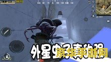 吃鸡名字男生高冷 吃鸡名字男生高冷：打造独特游戏形象
