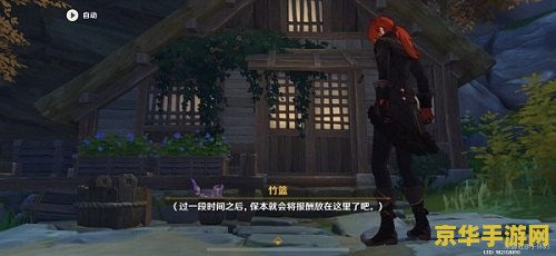 原神隐藏任务大全隐藏任务攻略汇总稻妻 原神隐藏任务大全：稻妻区域隐藏任务攻略汇总