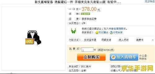 街头篮球永久套装 街头篮球永久套装深度解析