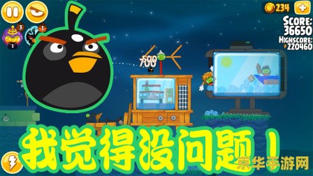 愤怒的小鸟季节版激活码 愤怒的小鸟季节版激活码解析与游戏魅力探索