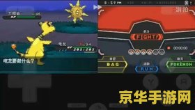 口袋妖怪黑2攻略 &lt;h1&gt;口袋妖怪黑2全面攻略&lt;/h1&gt;
