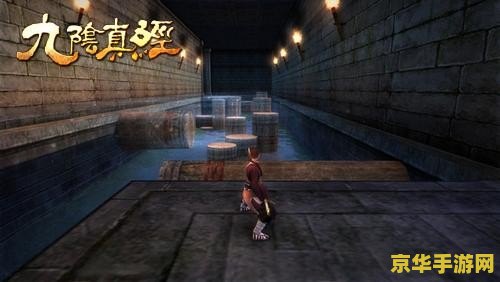 九阴真经登峰造极 九阴真经登峰造极：武学奥义与游戏深度解析