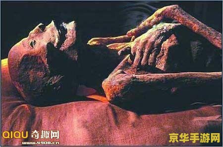 木乃伊是什么 木乃伊是什么