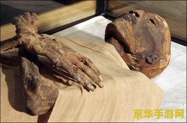 木乃伊是什么 木乃伊是什么