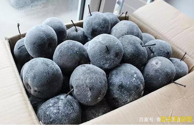 原神静寂闲雅是谁的特殊料理 原神静寂闲雅是谁的特殊料理