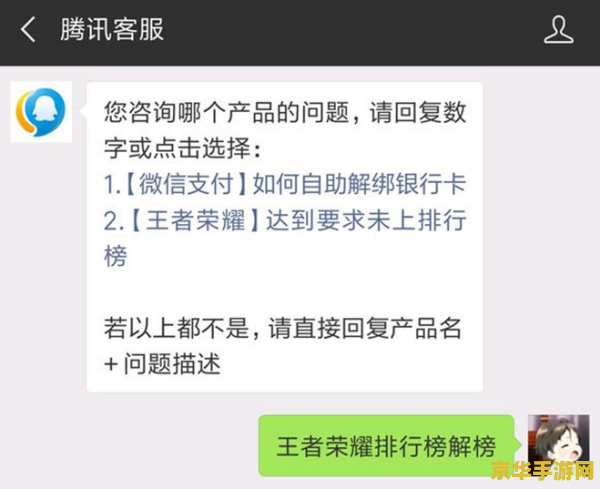 王者荣耀怎么查询违规 王者荣耀怎么查询违规