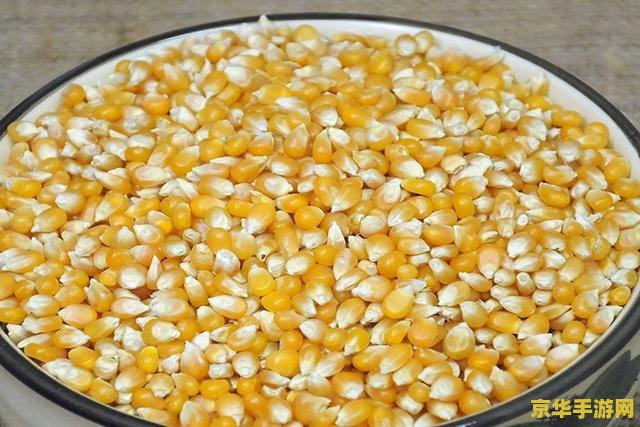 原神鱼用什么饵料钓 原神钓鱼用什么饵料