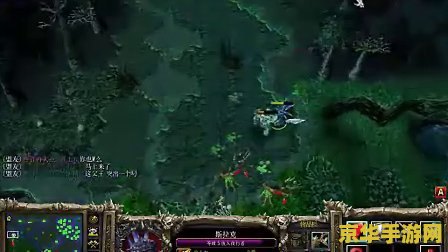 我是中国dota的希望10 中国Dota的希望：探索电竞之路与荣耀征程