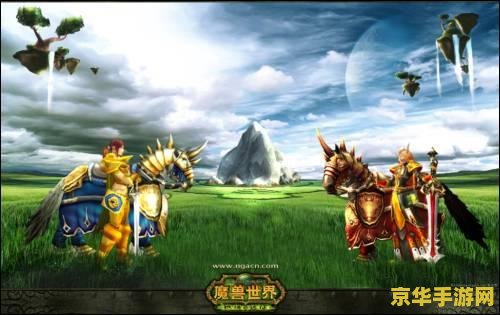 圣骑士的光芒 圣骑士的光芒：荣耀与信仰的征途
