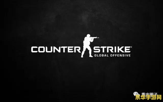 小霸王游戏手柄怎么玩王者荣耀 小霸王游戏手柄玩王者荣耀指南