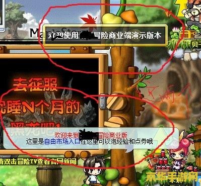 冒险岛私服 冒险岛私服深度解析