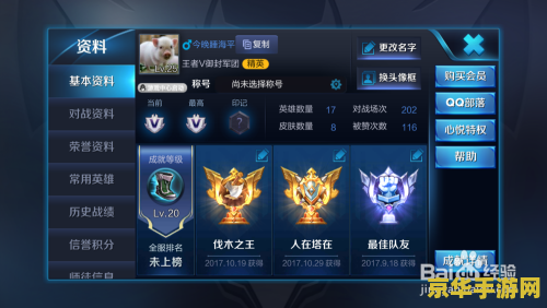 怎么显示王者荣耀关系 如何查看与展示王者荣耀中的关系