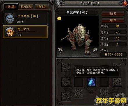 斗战神技能书 斗战神技能书深度解析
