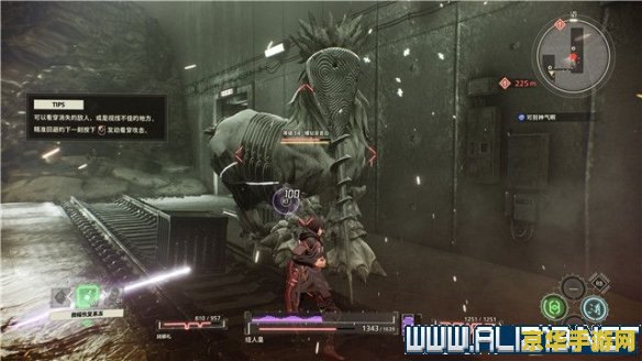 绯红任务 绯红任务：探索与冒险的终极挑战