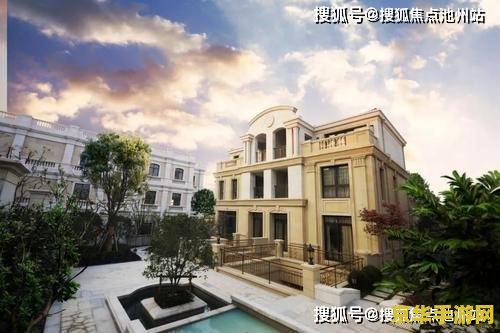 原神莫娜什么位置 原神莫娜的位置及角色分析