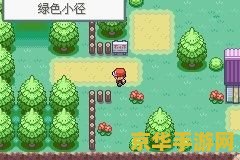 口袋妖怪火红二周目 口袋妖怪火红二周目深度探索