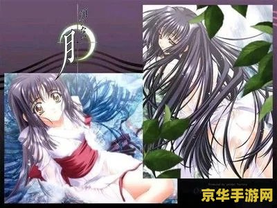 无颜之月说的是什 无颜之月游戏内容解析