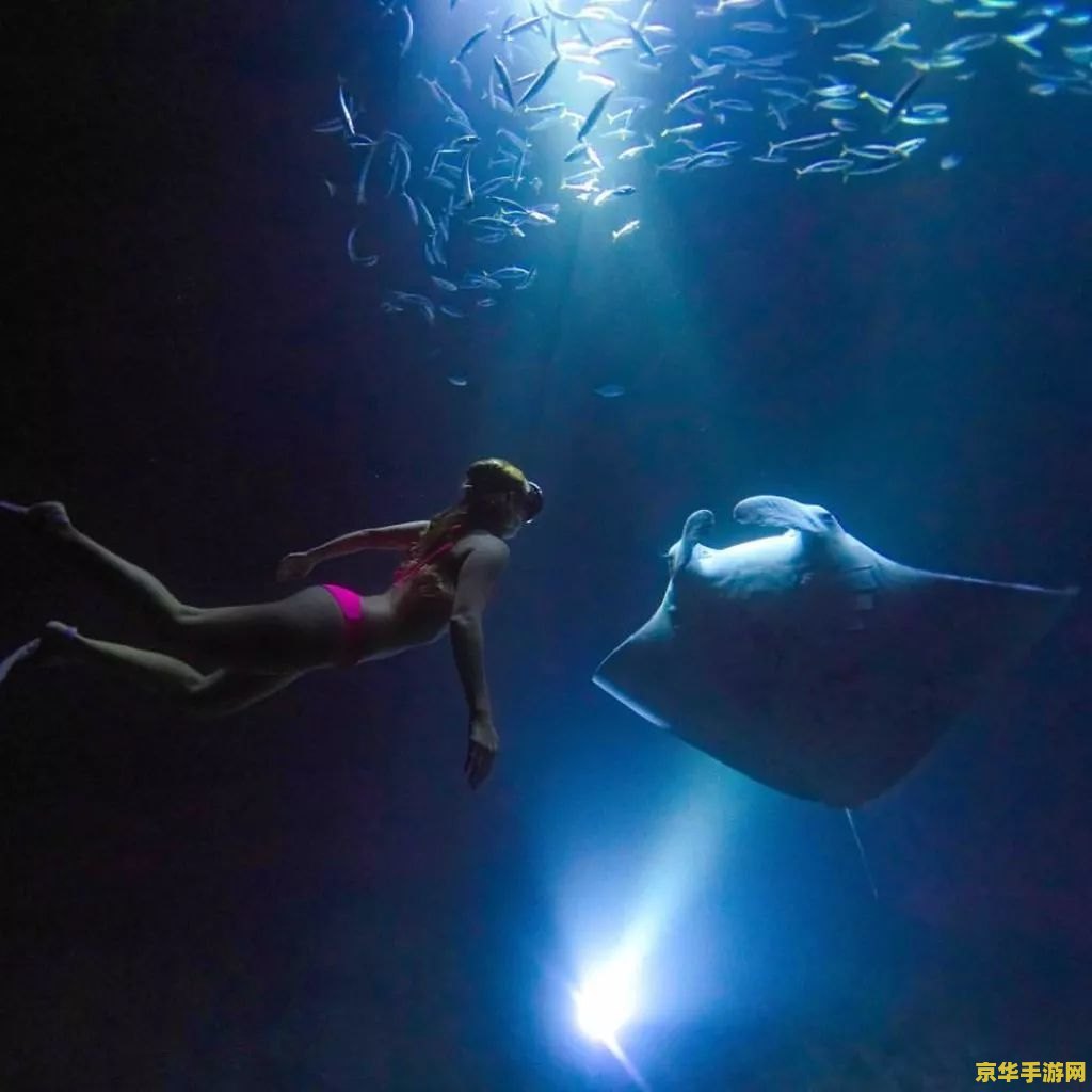 原神浮游生物 原神中的浮游生物探索