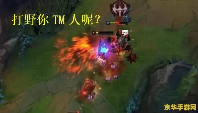 英雄联盟提莫肉装 <h3>英雄联盟提莫肉装玩法深度解析</h3>