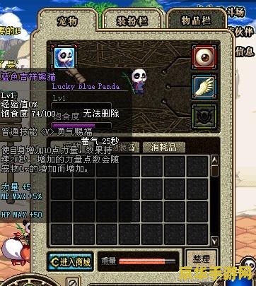 dnf熊猫 DNF熊猫：萌宠助力，探险更精彩