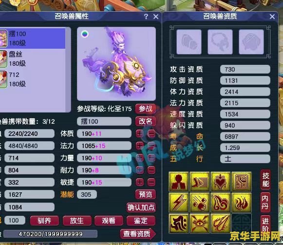 梦幻西游新宝宝 梦幻西游新宝宝：探索游戏新乐趣与策略