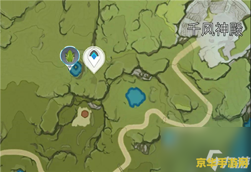 原神中圣王树体菇在哪里 原神中圣王树体菇采集位置指南