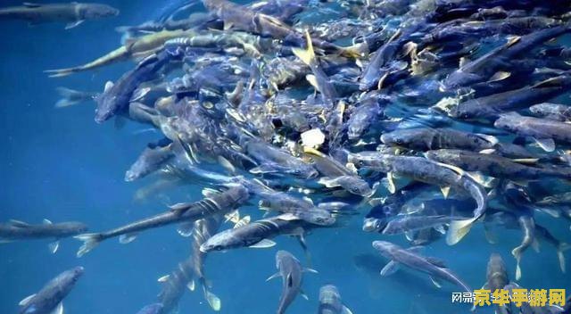 原神鱼怎么没了 原神鱼怎么没了：探究鱼类消失的原因与应对策略