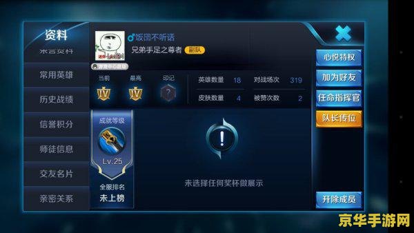 王者荣耀副队怎么任命 王者荣耀副队长任命指南